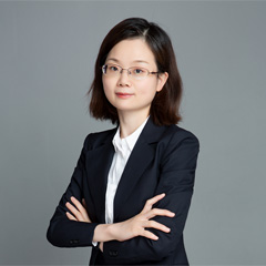 公司法律师王芳